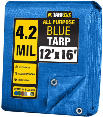 All Purpose Economy Blue Tarps, 4.2 Mil